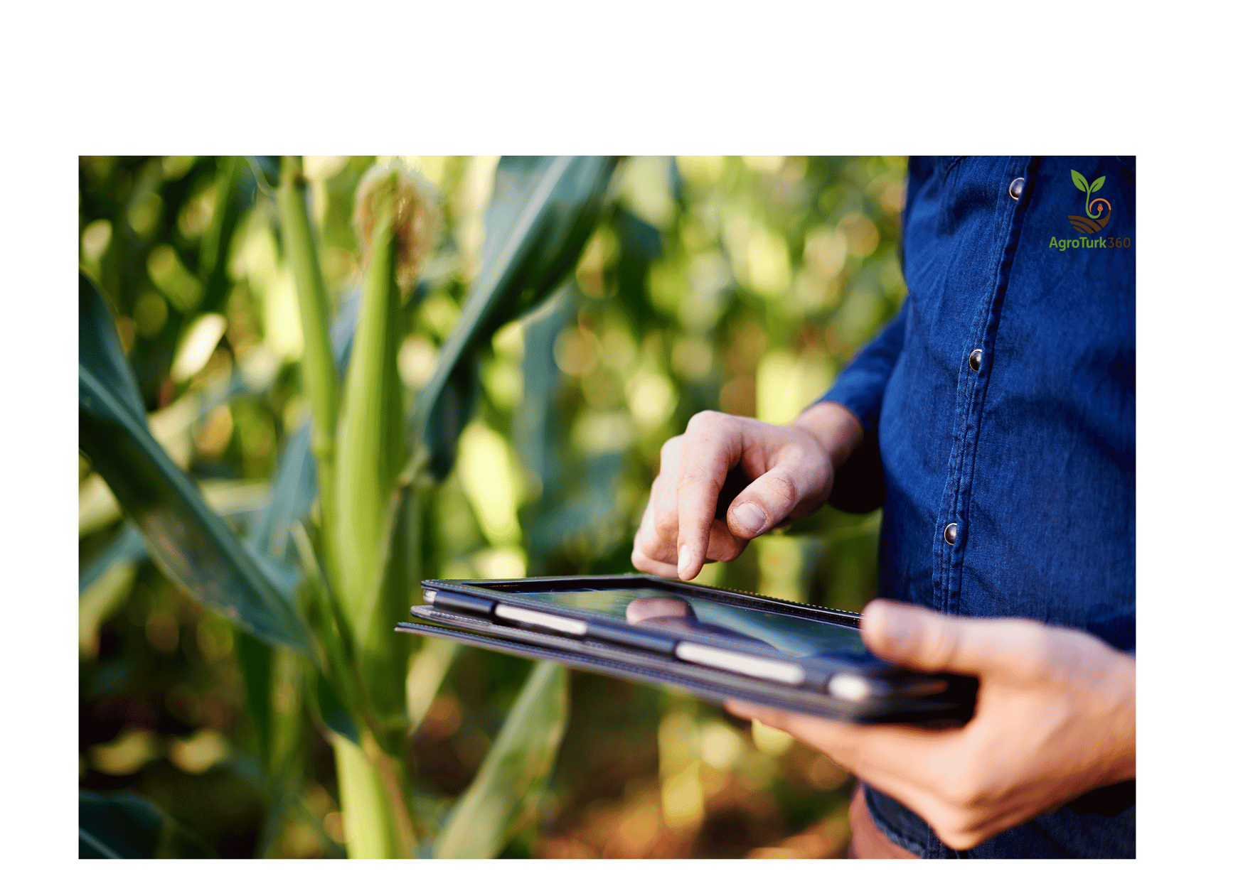 Kaynakları kontrol altına almak, gizli maliyetleri görünür kılmak.