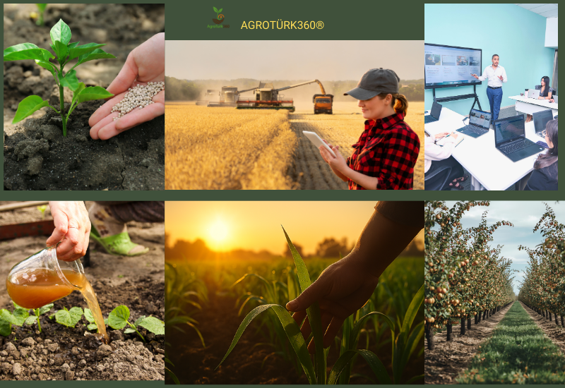 Plant Nutrition, Fertilizer Production, and Process Management