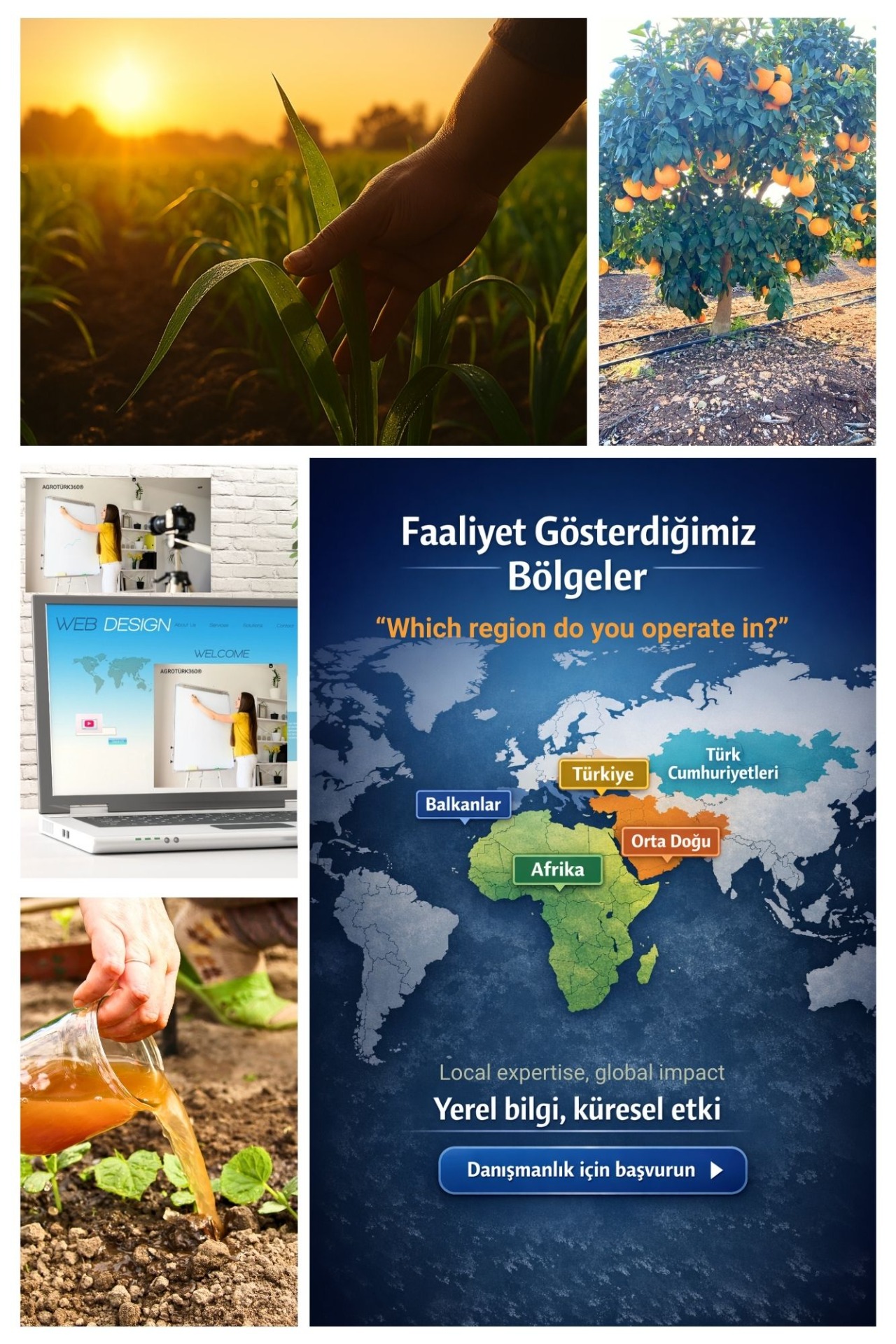 Plant Nutrition, Fertilizer Production, and Process Management